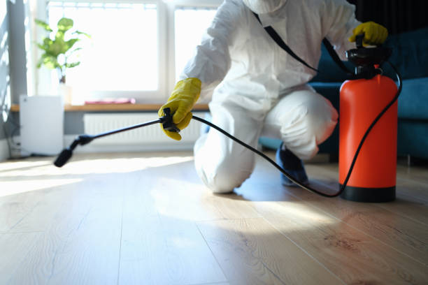 Reliable Biohazard Cleanup contractor in Santa Ynez, CA by Trauma Clean Pros